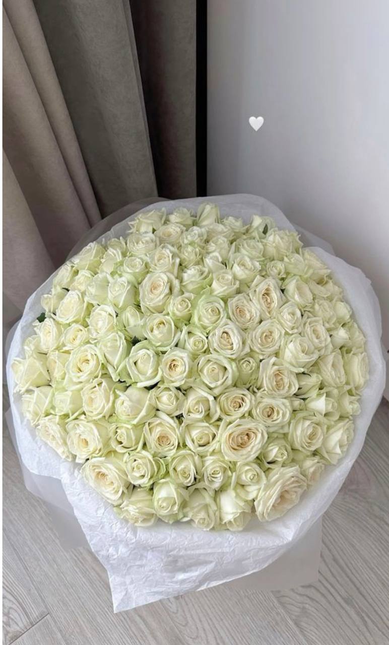 White Rose