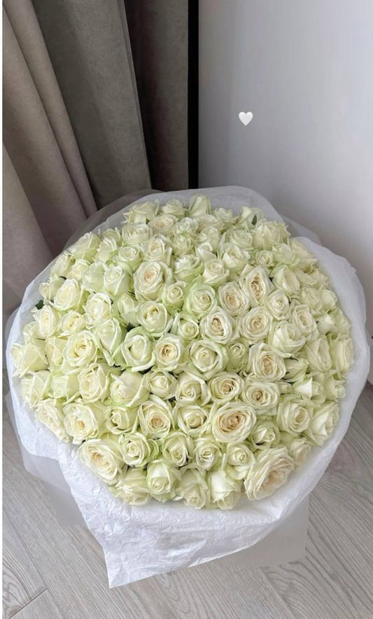 White Rose