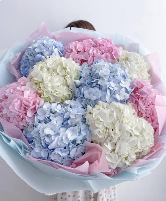 Hydrangeas Mix